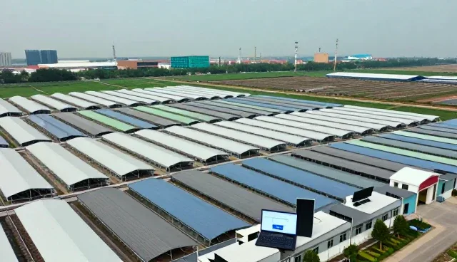 算法模型在定制系统中的性能边界与适用场景分析